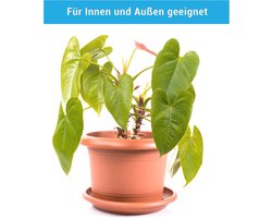 Set van 4 Grote Terracotta-look Plantenpotten met Onderzetters – foto 5