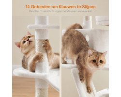 Luxe Krabpaal met Meerdere Niveaus en Speelplaats - 168 cm – foto 5