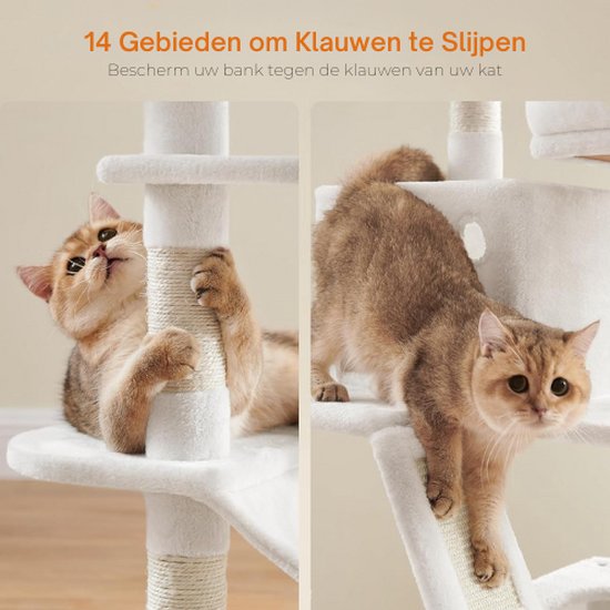 Luxe Krabpaal met Meerdere Niveaus en Speelplaats - 168 cm – foto 6