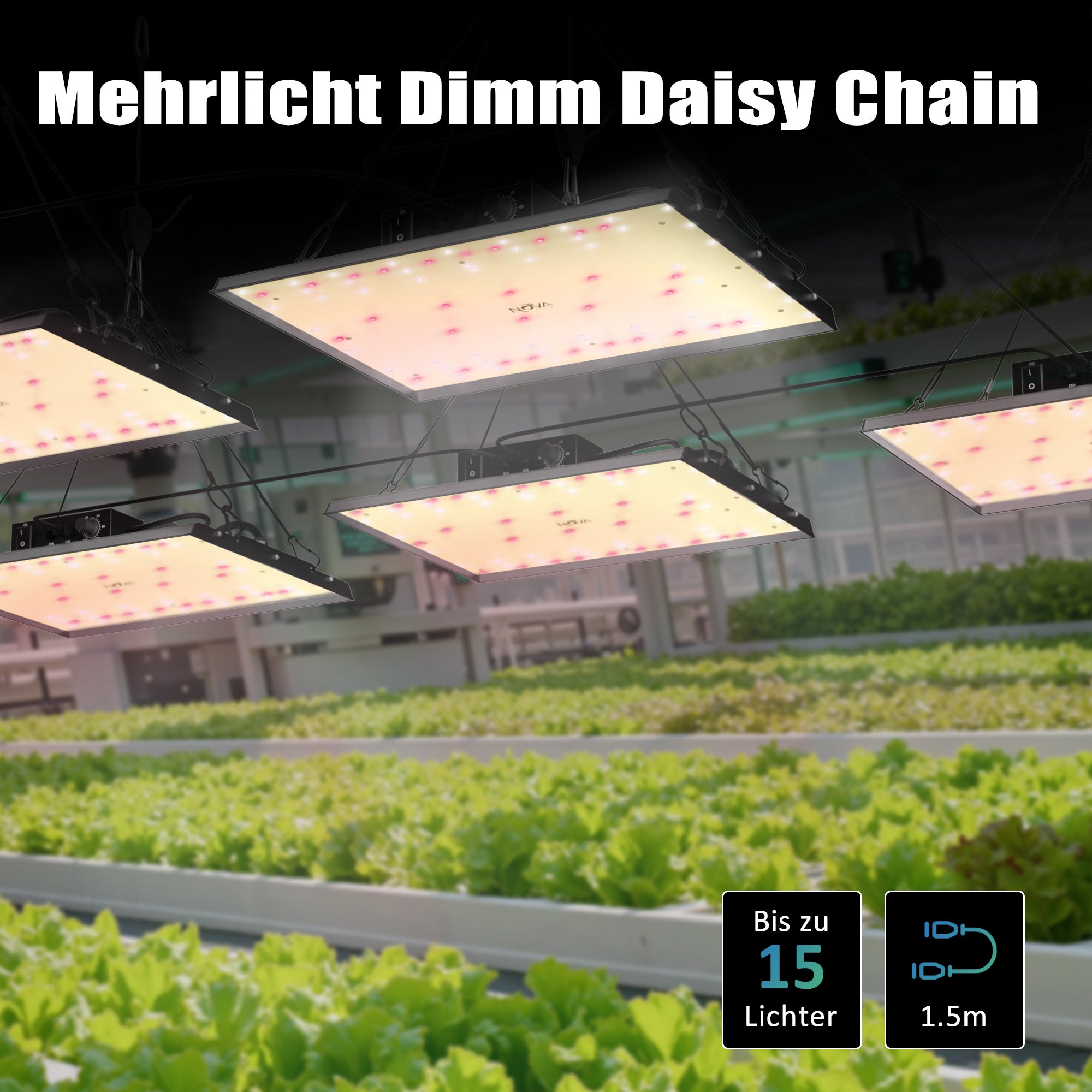 NovaGrove LED Groeilamp Volledig Spectrum, 100W, voor Kweekkast, Dimbaar & Daisy Chain, EC10 – foto 6